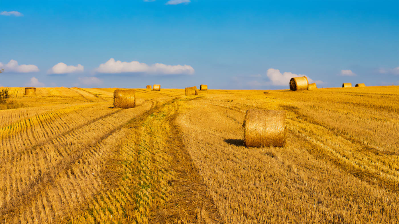 Agricoltura UE e Ucraina: i rischi dell'integrazione e strategie alternative per un futuro sostenibile